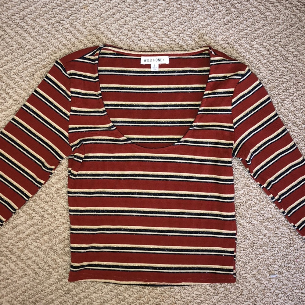 Wild Honey Long-sleeve Crop (never worn)
